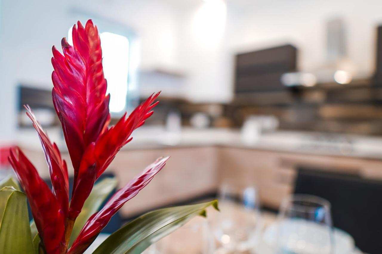 Narcisone Holiday Home Kerċem 외부 사진